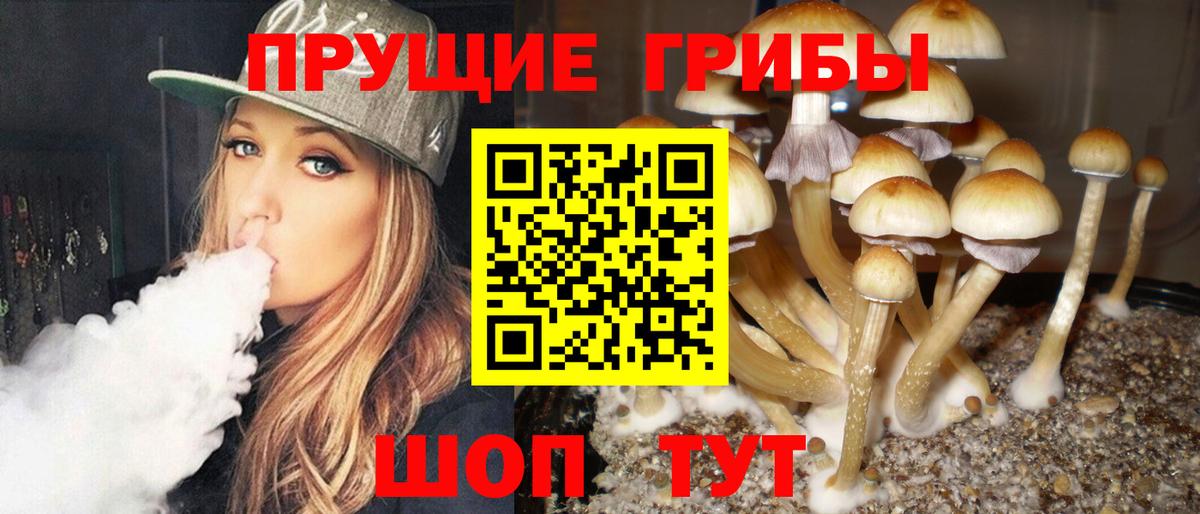 Верхний Уфалей  Псилоцибиновые грибы Psilocybe  Вход с VPN 